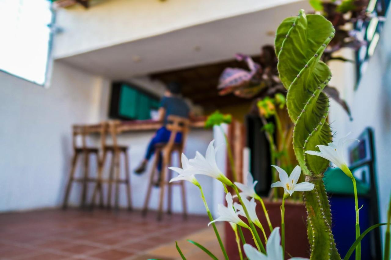 Aluna Hostel B&B Санта-Марта Экстерьер фото